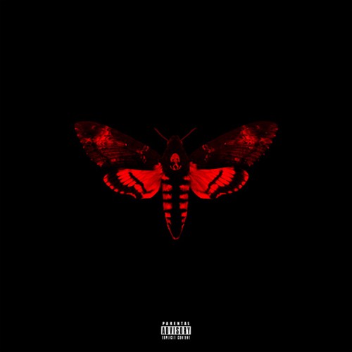 lil-wayne-human-being-ii-cover-neoboto