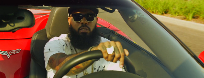 stalley-neoboto-2