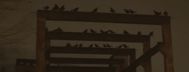 La-Rumeur-650x250-5-neoboto
