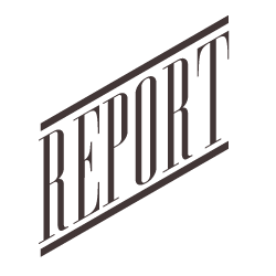 report-logo-neoboto250x250