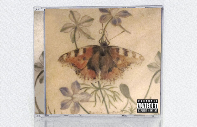 albums rap peintures renaissance neo boto art complex (5)